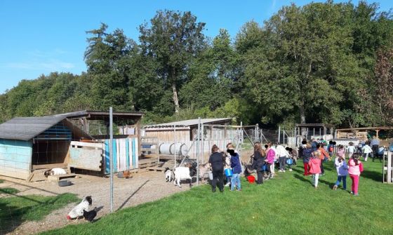 Ausflug zum Kleintierhof Neuhaus